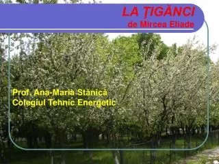 la ig nci de mircea eliade