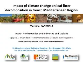 Impact of climate change on leaf litter decomposition in french Mediterranean Region