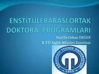 enst t lerarasi ortak doktora programlari