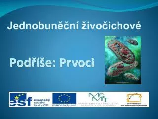 pod e prvoci