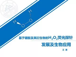 h 2 o 2