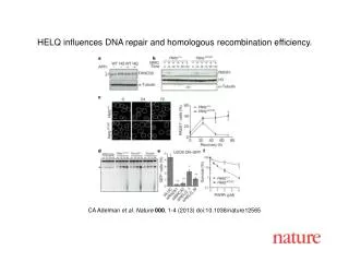 CA Adelman et al. Nature 000 , 1 - 4 (2013) doi:10.1038/nature 12565