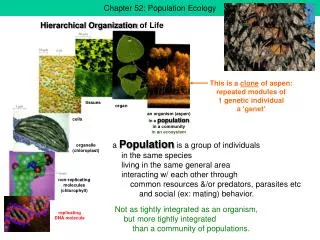 Chapter 52: Population Ecology