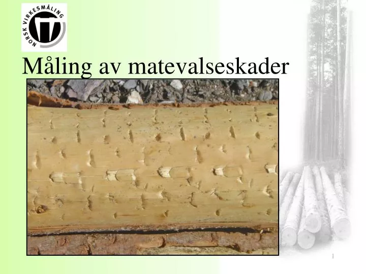 m ling av matevalseskader