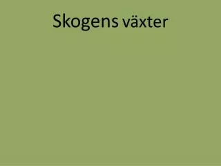 skogens v xter