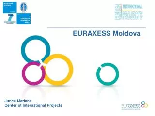 juncu mariana center of international projects