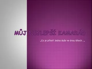 m j nejlep kamar d