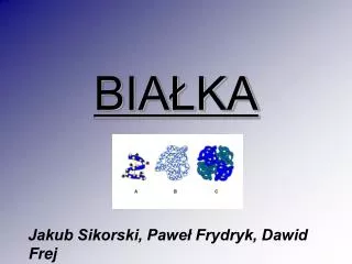 jakub sikorski pawe frydryk dawid frej