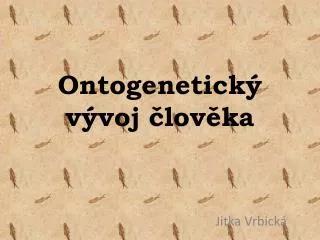 ontogenetick v voj lov ka