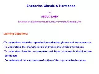 Endocrine Glands &amp; Hormones