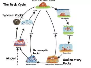 Sedimentary Rocks