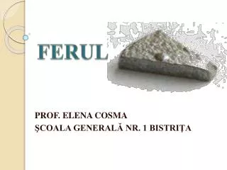 ferul