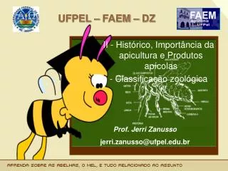 ufpel faem dz