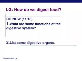 LG: How do we digest food?