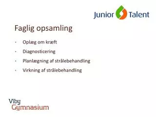 faglig opsamling