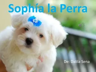 soph a la perra