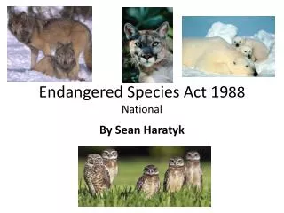 Endangered Species Act 19 88 National