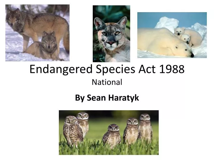 endangered species act 19 88 national