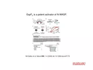 NA Sallee et al. Nature 000 , 1-4 (2008) doi:10.1038/nature07170