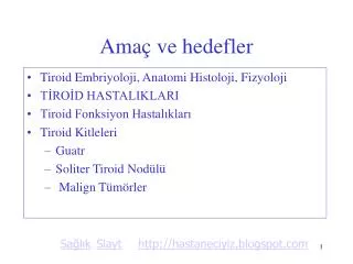 ama ve hedefler