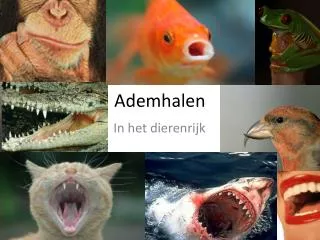 ademhalen