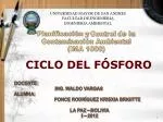 UNIVERSIDAD MAYOR DE SAN ANDRES FACULTAD DE INGENIERIA INGENIERIA AMBIENTAL