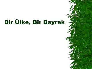 bir lke bir bayrak