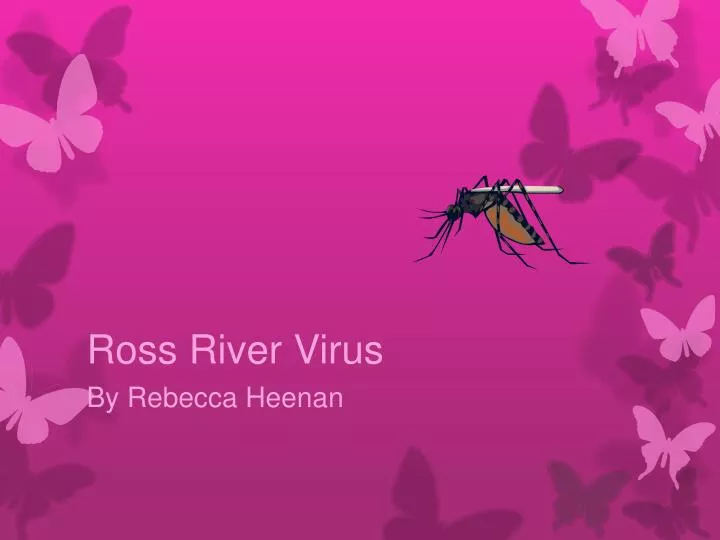 ross river virus