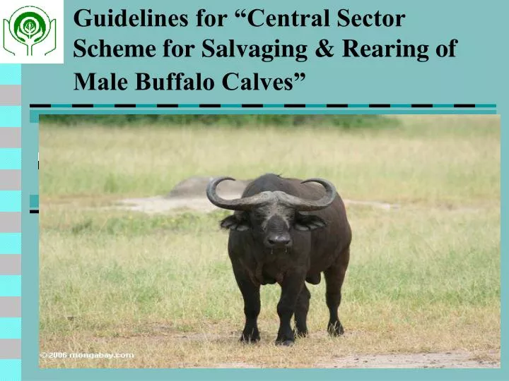 guidelines for central sector scheme for salvaging rearing of male buffalo calves