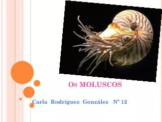 os moluscos