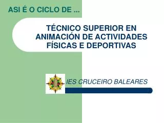 t cnico superior en animaci n de actividades f sicas e deportivas