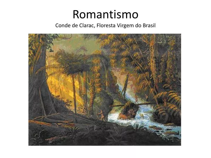 romantismo conde de clarac floresta virgem do brasil