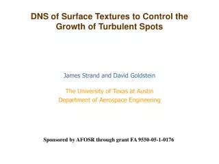 DNS of Surface Textures to Control the Growth of Turbulent Spots