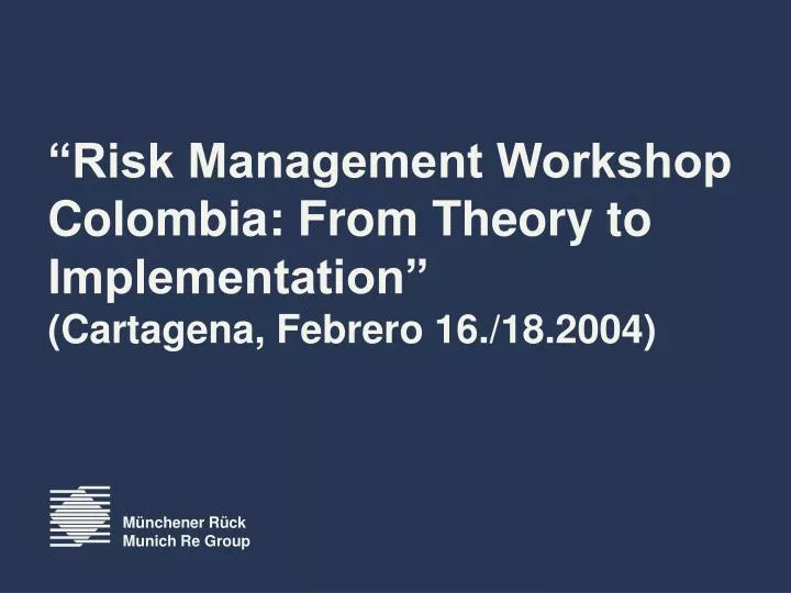 risk management workshop colombia from theory to implementation cartagena febrero 16 18 2004