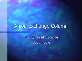 Anion Exchange Column