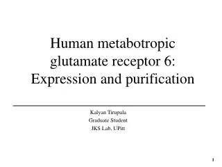 Human metabotropic glutamate receptor 6: Expression and purification