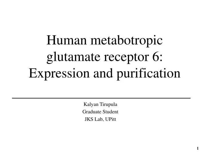 human metabotropic glutamate receptor 6 expression and purification