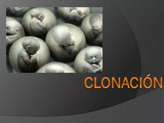 clonaci n