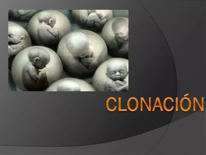 clonaci n