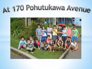 At 170 Pohutukawa Avenue