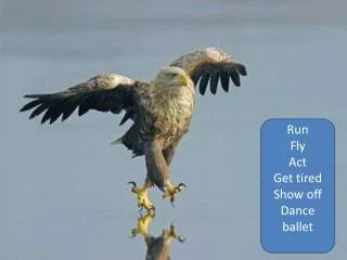 Run Fly Act Get tired Show off Dance ballet