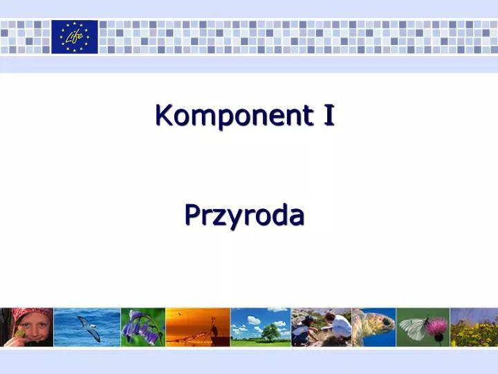 komponent i przyroda