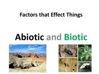 Factors that Effect Things