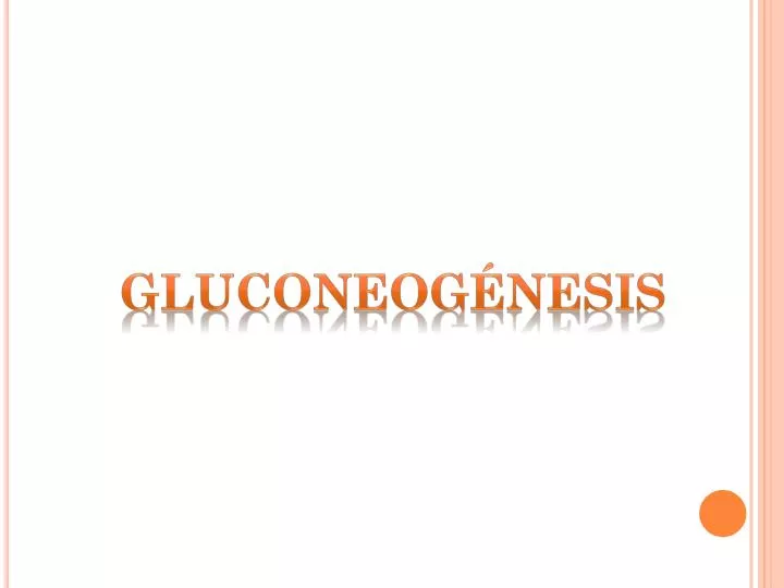 gluconeog nesis