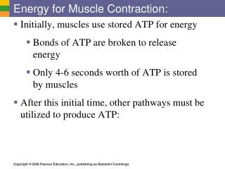 Energy for Muscle Contraction: