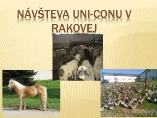 n v teva uni conu v rakovej