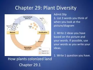 Chapter 29: Plant Diversity