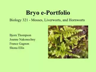 Bryo e-Portfolio