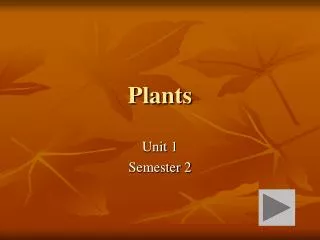 Plants