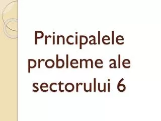 p rincipalele probleme ale sectorului 6